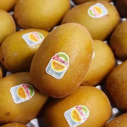 网红水果爆料视频,揭秘热门水果背后的秘密 第2张 网红水果爆料视频,揭秘热门水果背后的秘密 第2张