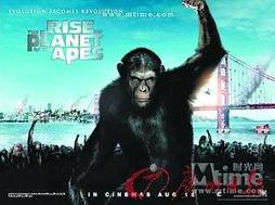 猿族崛起在线观看,探寻原始智慧与人类文明的交融之旅 第3张 猿族崛起在线观看,探寻原始智慧与人类文明的交融之旅 第3张